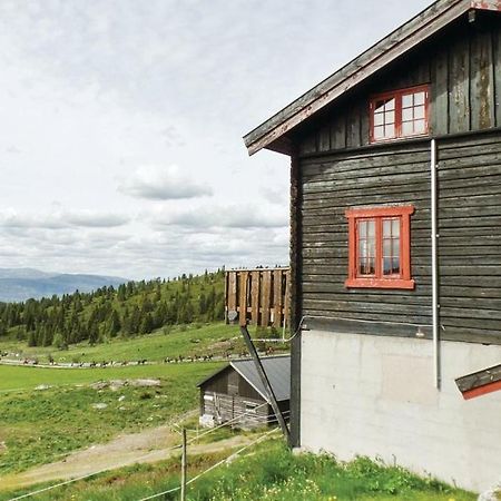 温斯特拉Sulseter Fjellstugu公寓 外观 照片